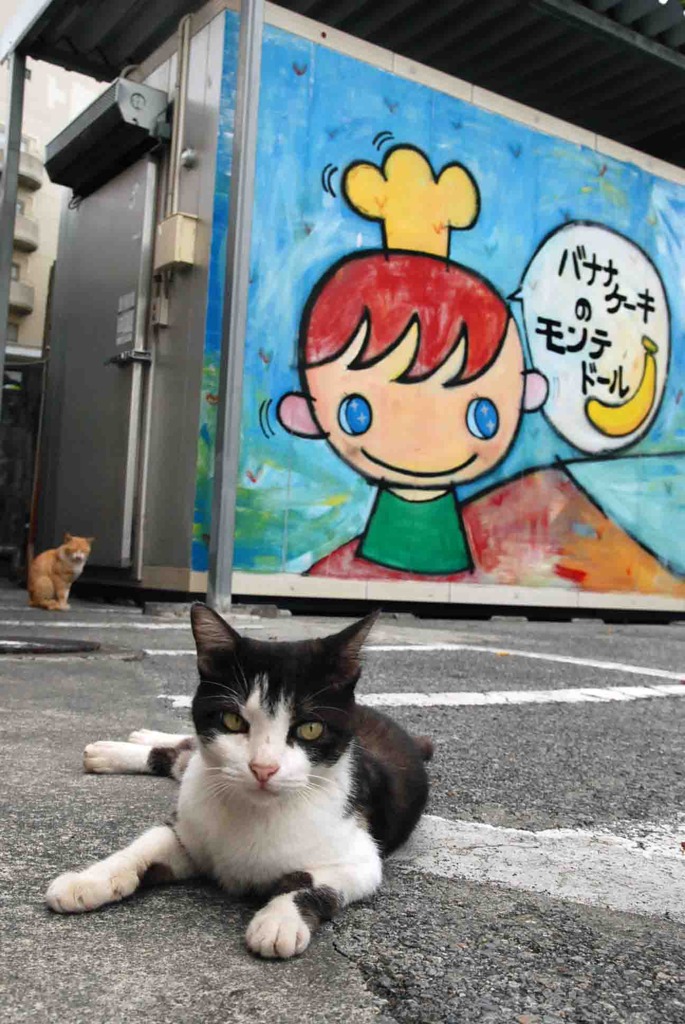 にゃんだよ