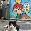 にゃんだよ