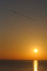 いってらっしゃ～い