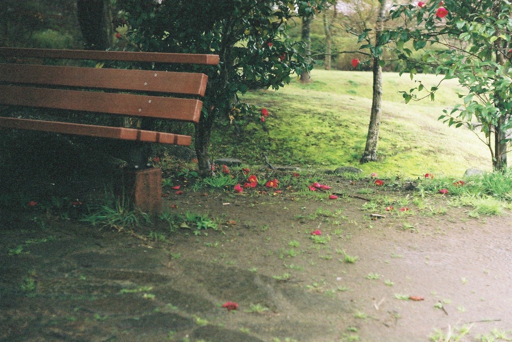 公園のベンチ