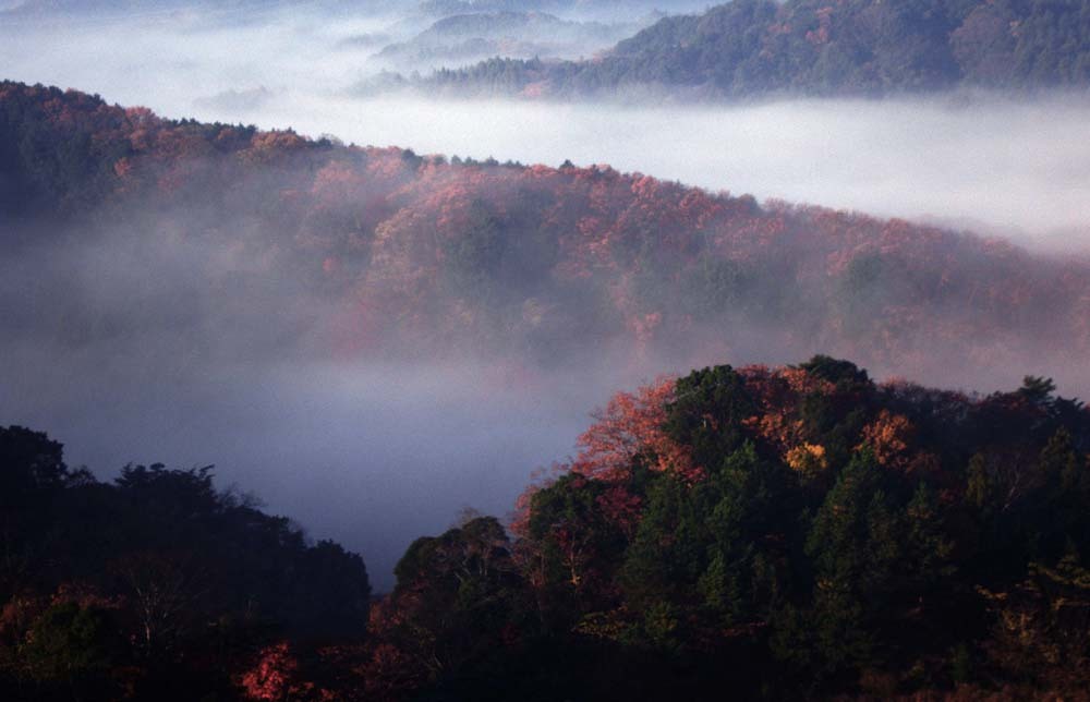 雲海