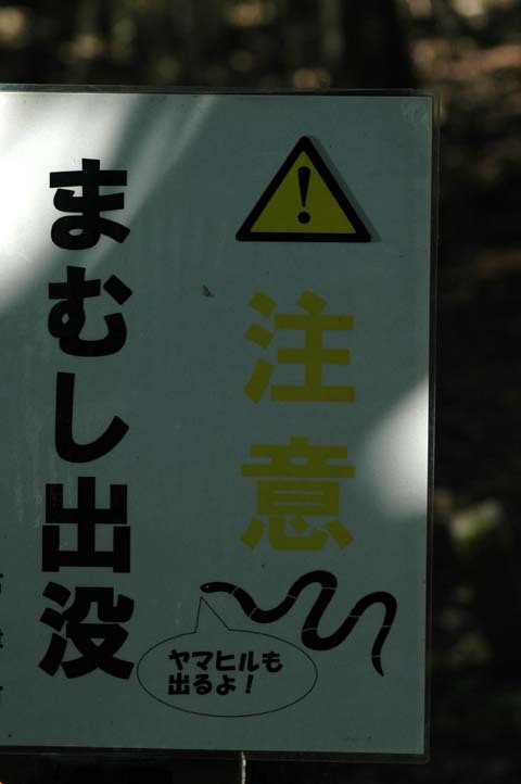 親切なマムシ