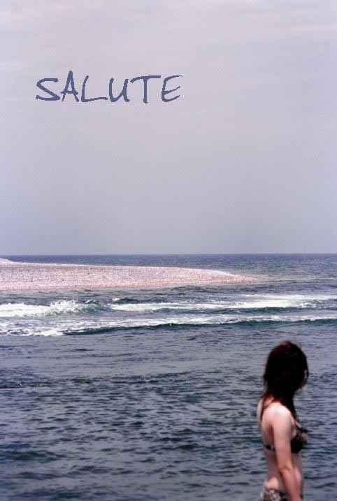 海