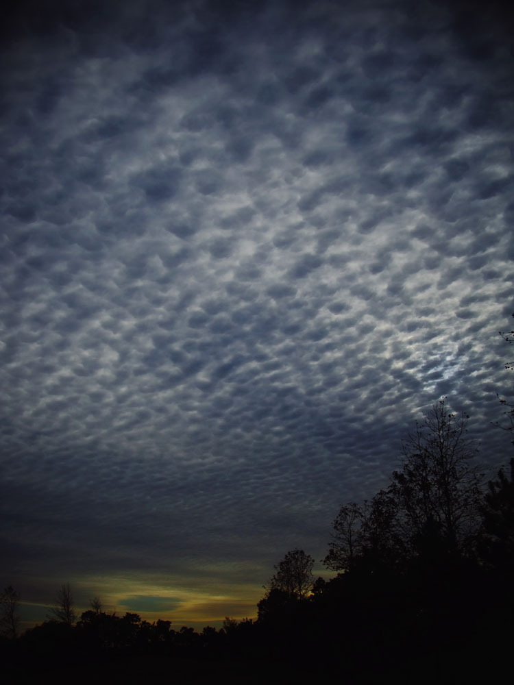 秋空