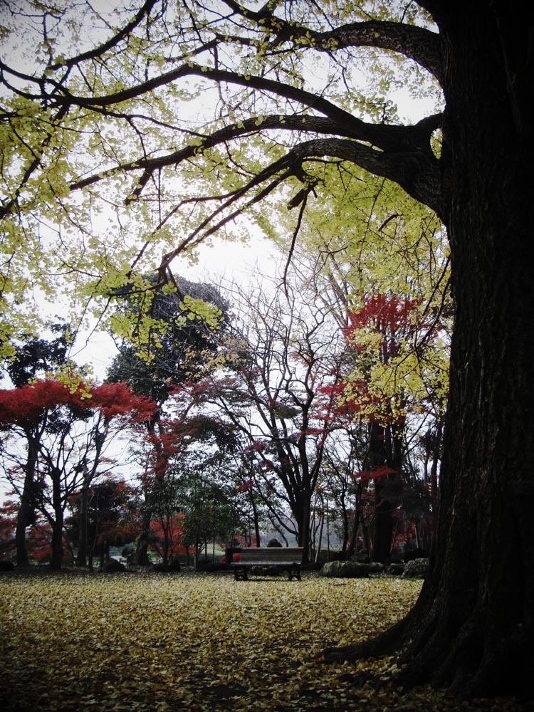 公園のベンチ