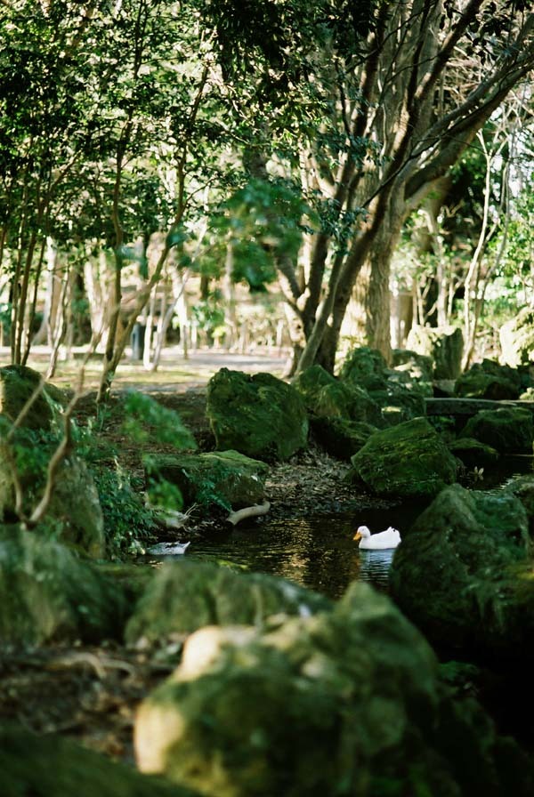 公園にて