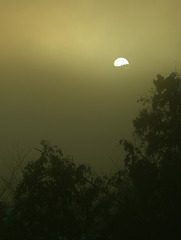 朝靄と太陽
