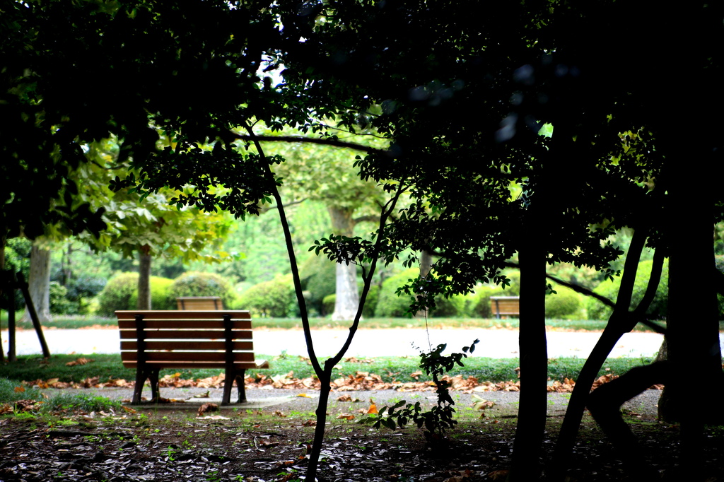 park
