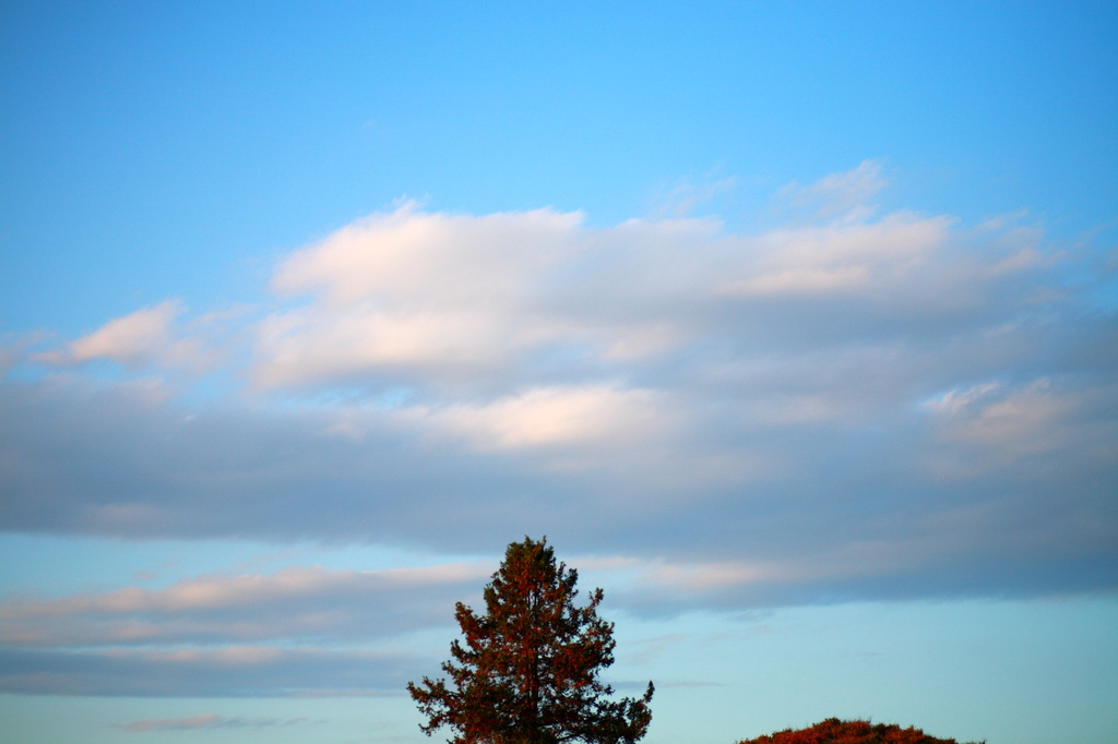 空