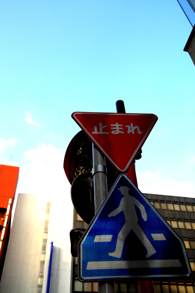 空を見上げよう