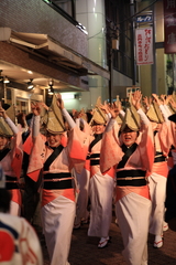 高円寺阿波踊り6