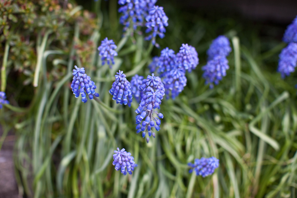 20110417-IMG_8421
