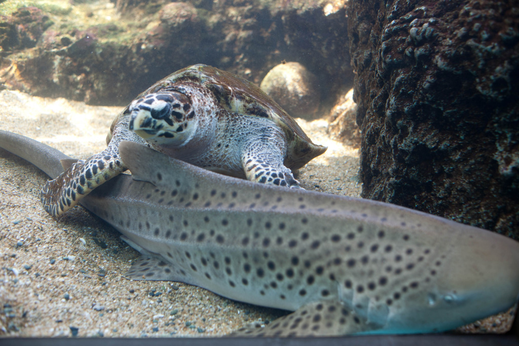 20110725-IMG_2708