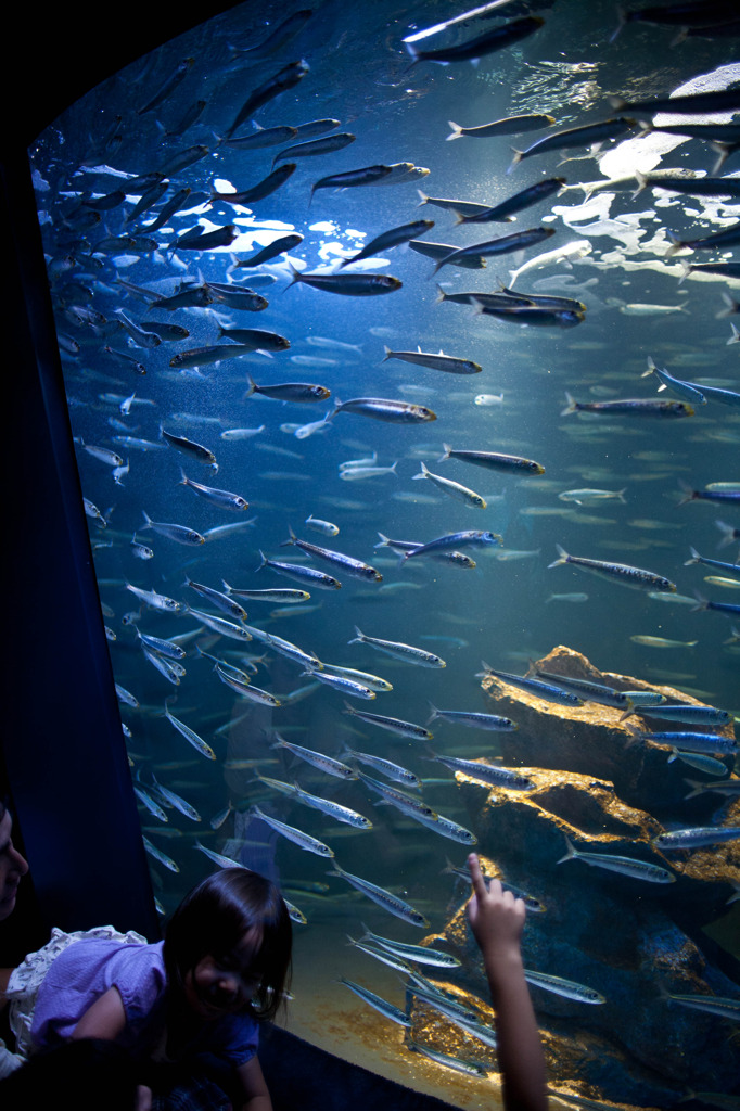 20110921-IMG_5428