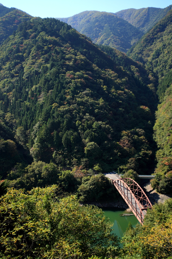 鴨沢