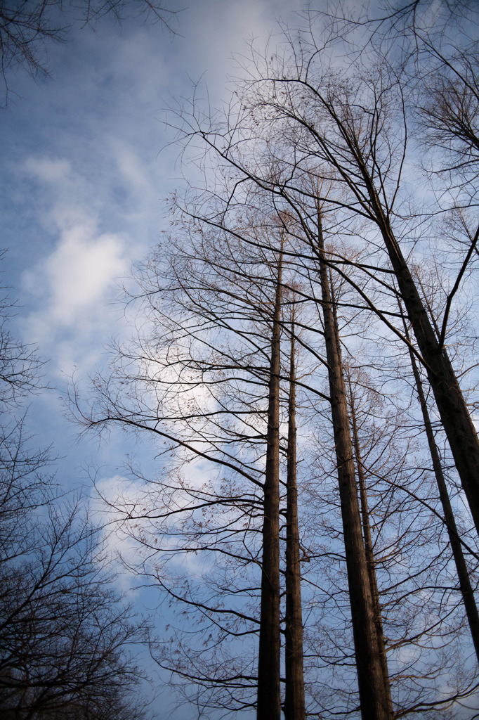 20110312-IMG_3996