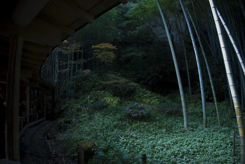 抹茶と観る庭園