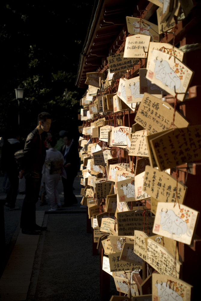 八幡宮の祈り