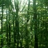 晩夏の頃・軽井沢