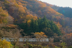 芦ヶ久保の紅葉