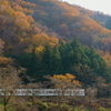 芦ヶ久保の紅葉