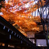 平林寺・紅葉（3）