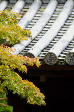 南禅寺・初秋