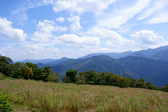 翠波高原