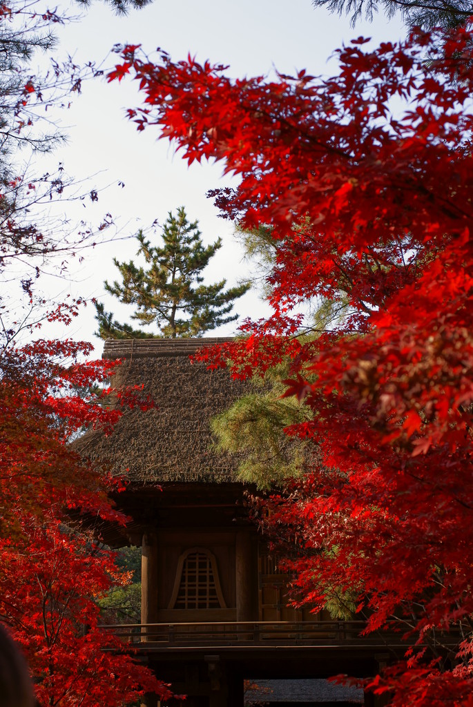 平林寺・山門