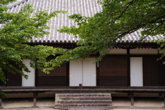 尾道・西郷寺・本堂