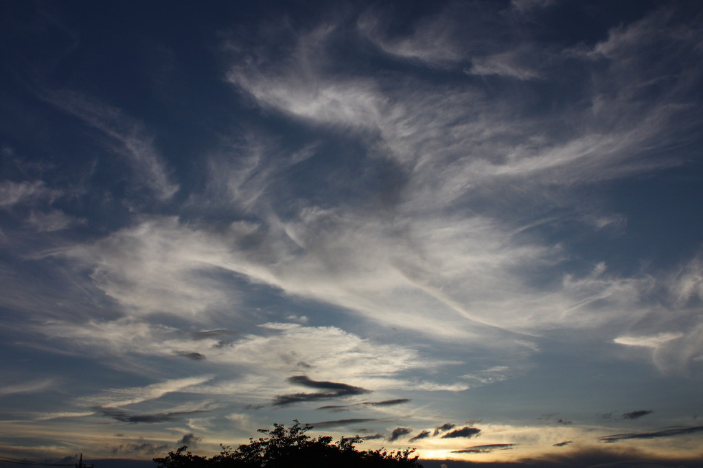 雲羽ばたく