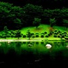 緑の静寂
