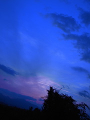 photo243710