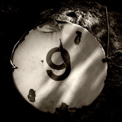 R0011091