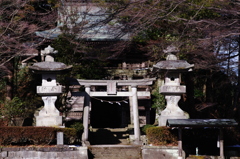 稲荷神社でスタート