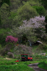 芽吹きの時期