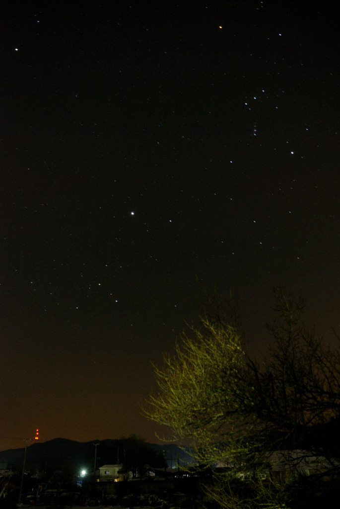 オリオンのある空