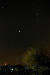 オリオンのある空