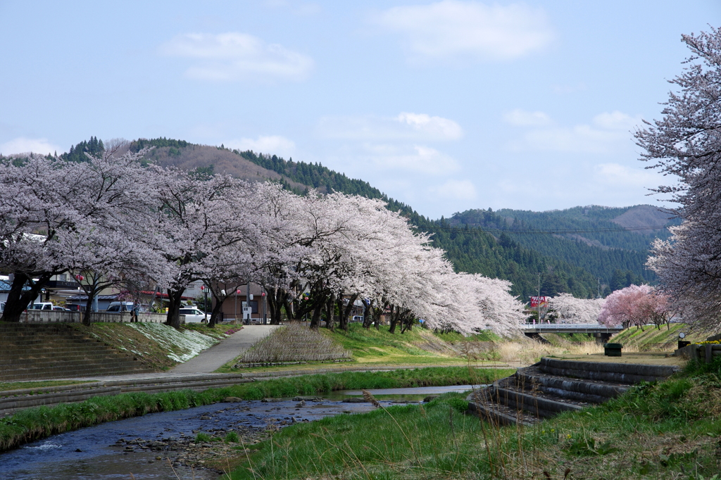 春る色桜色