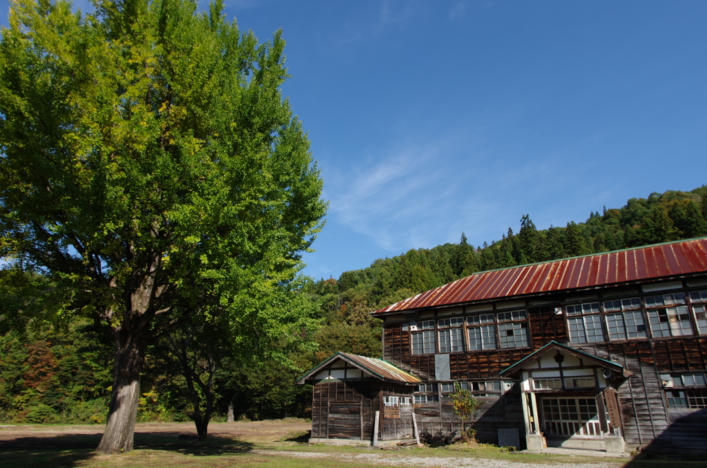 待ち遠しい黄色