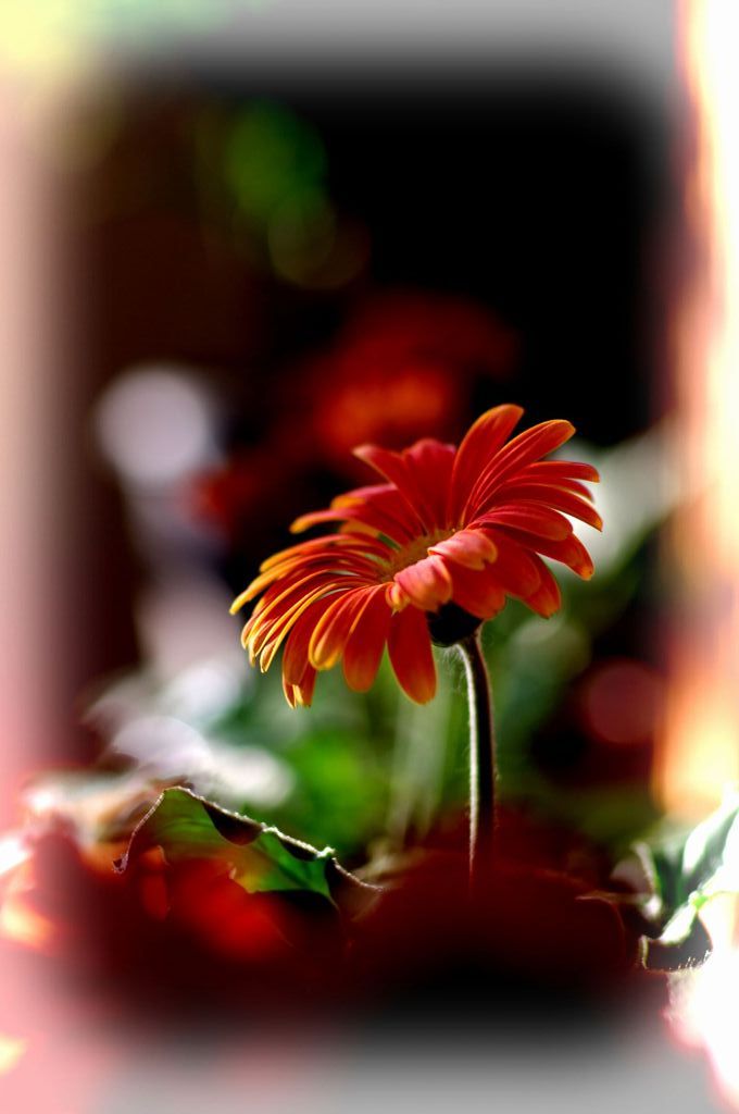 元気を出してね