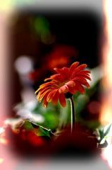 元気を出してね