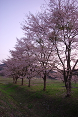 時を忘れたのか