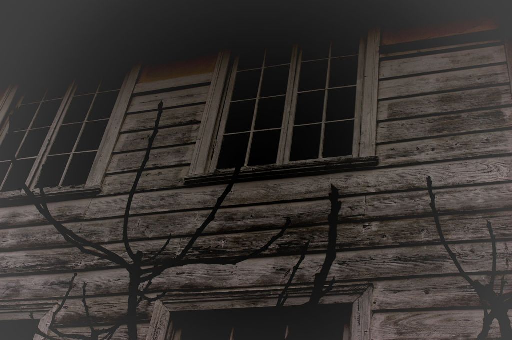 トントン　　　　誰かいる？