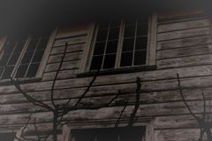 トントン　　　　誰かいる？