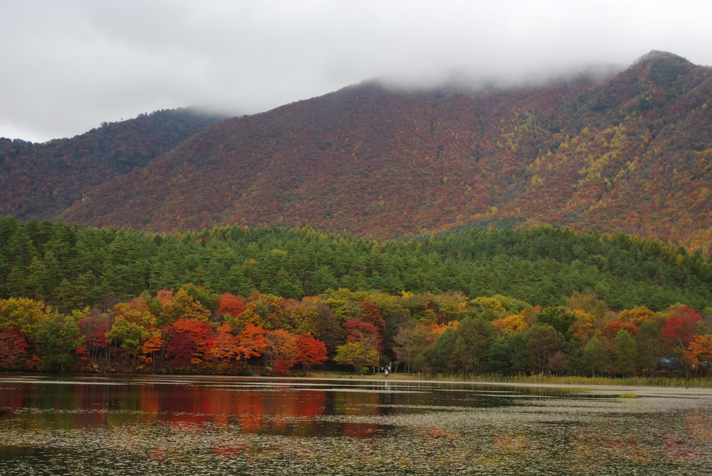 湖、紅葉、緑、山、白