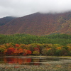 湖、紅葉、緑、山、白