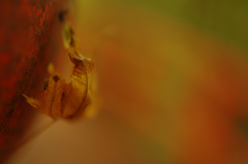 落ちたくない～