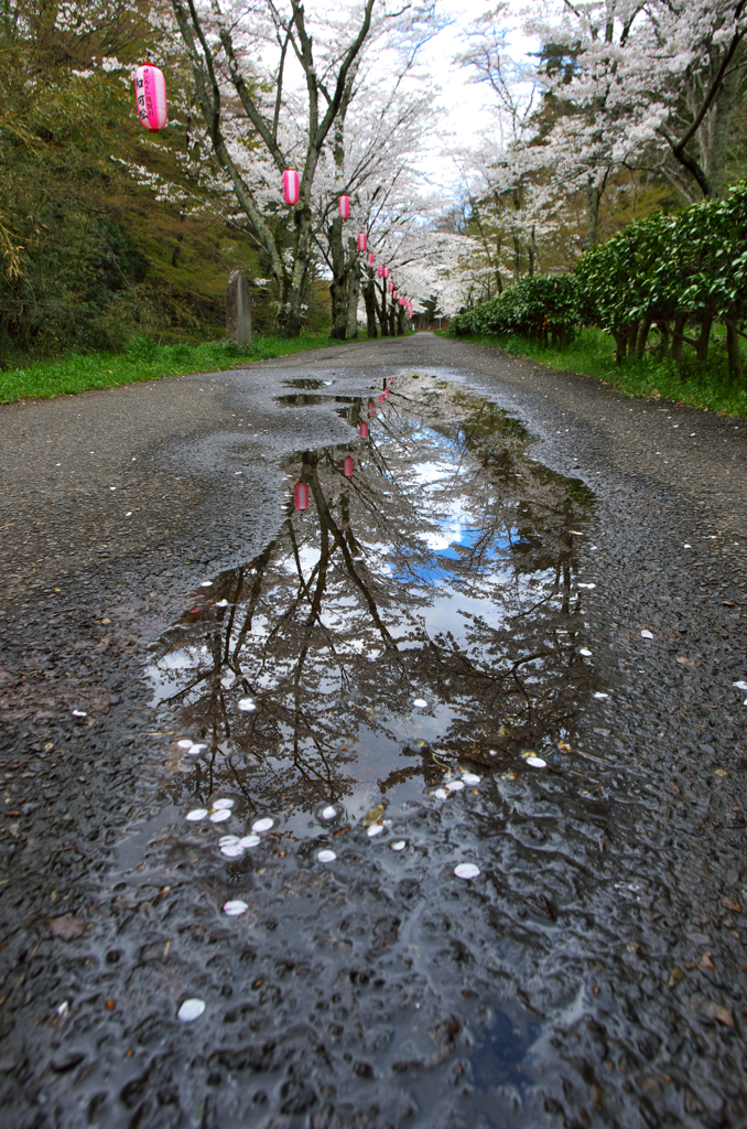 雨のち晴れ