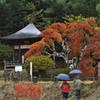 雨の中の撮影者